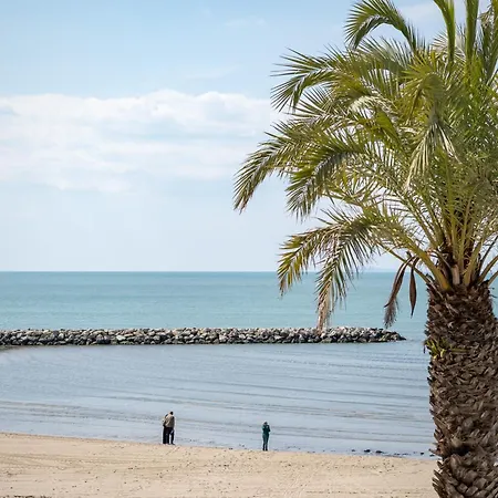 La Perle Du Grau : T1 Avec Exceptionnelle Vue Lejlighed *
